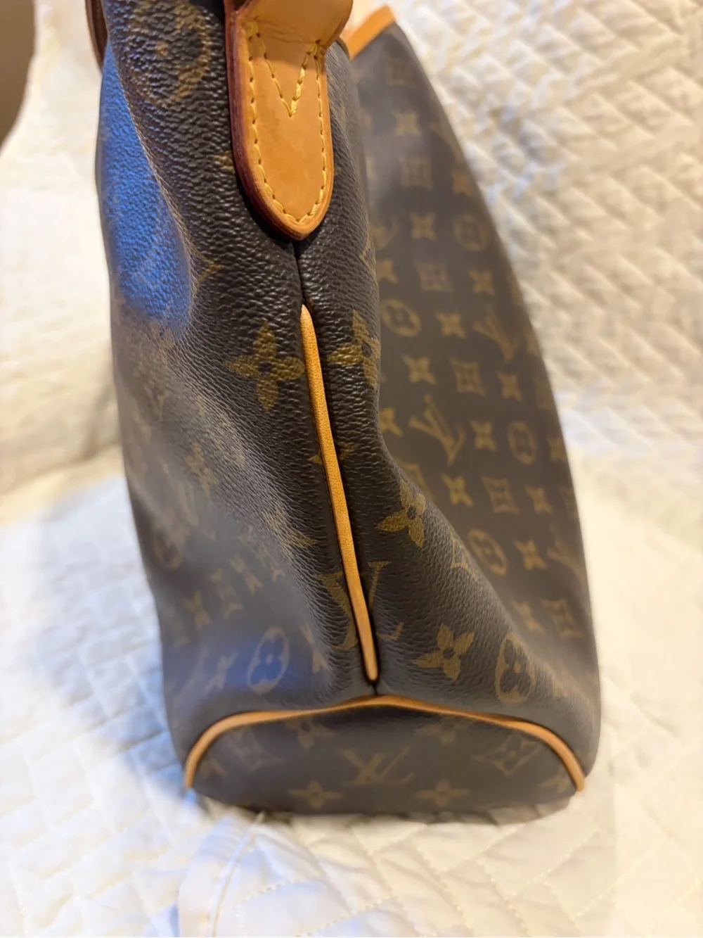 Louis Vuitton Monogram PM Delightful Shoulder Bag